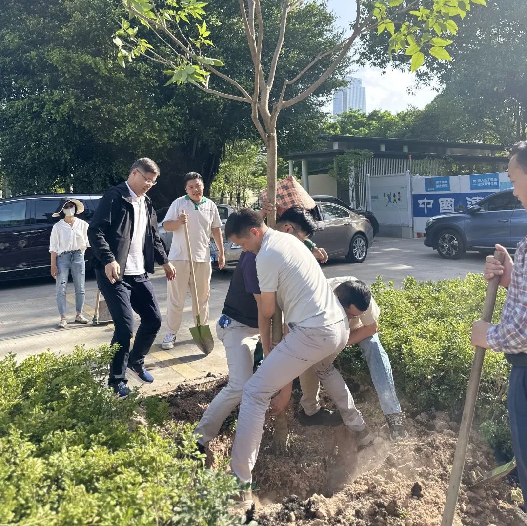 携手添绿!荔枝公园公益植树活动圆满举行 携手添绿!荔枝公园公益植树活动圆满举行