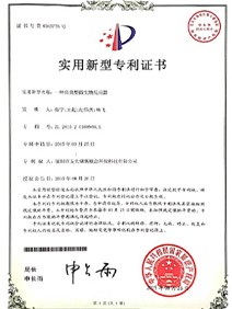 实用新型专利证书(1)