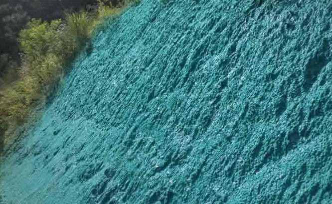 广东蕉岭山体覆绿项目