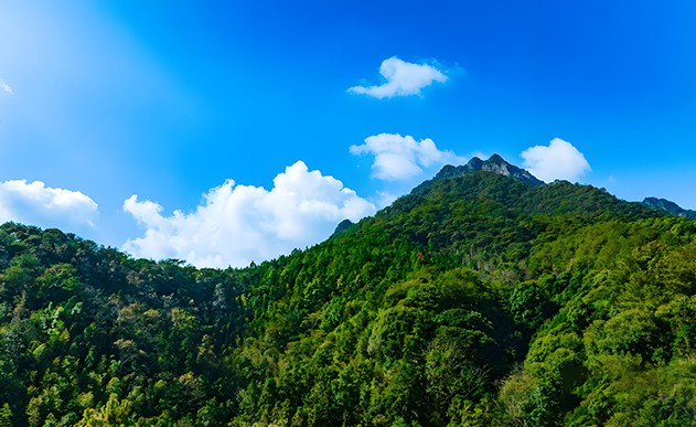 广东蕉岭山体覆绿项目