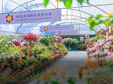 2025深圳簕杜鹃赏花周莲花山公园移动公厕服务